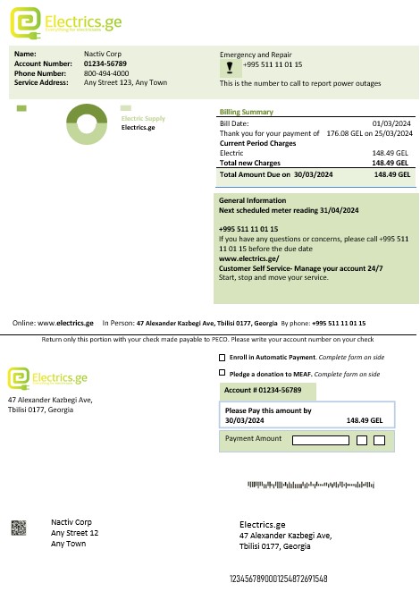 Georgia Electrics.ge electricity business bill template in Word and PDF formats1